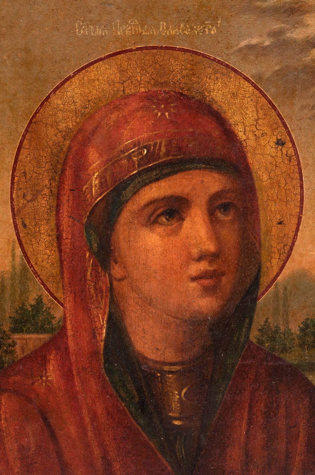 Икона Праведная Елисавета 289-19