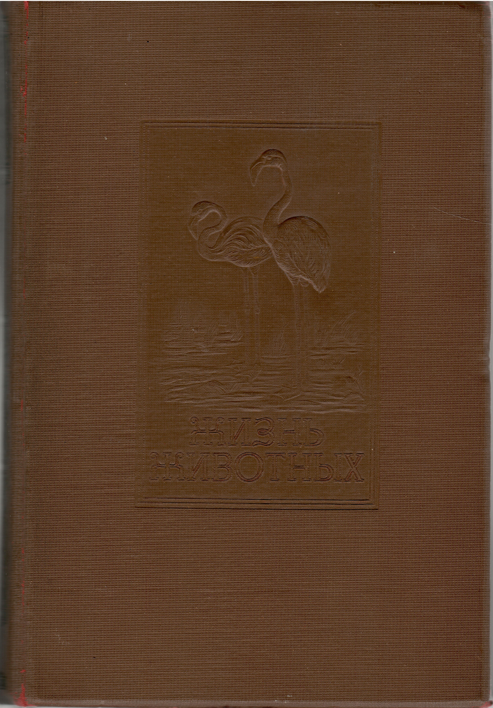 Жизнь животных по А.Э. Брему. В пяти томах. Том 4. Птицы 00325-23