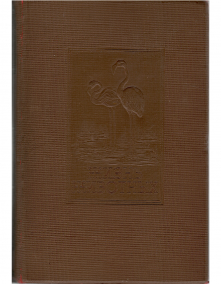 Жизнь животных по А.Э. Брему. В пяти томах. Том 4. Птицы - фото - 1