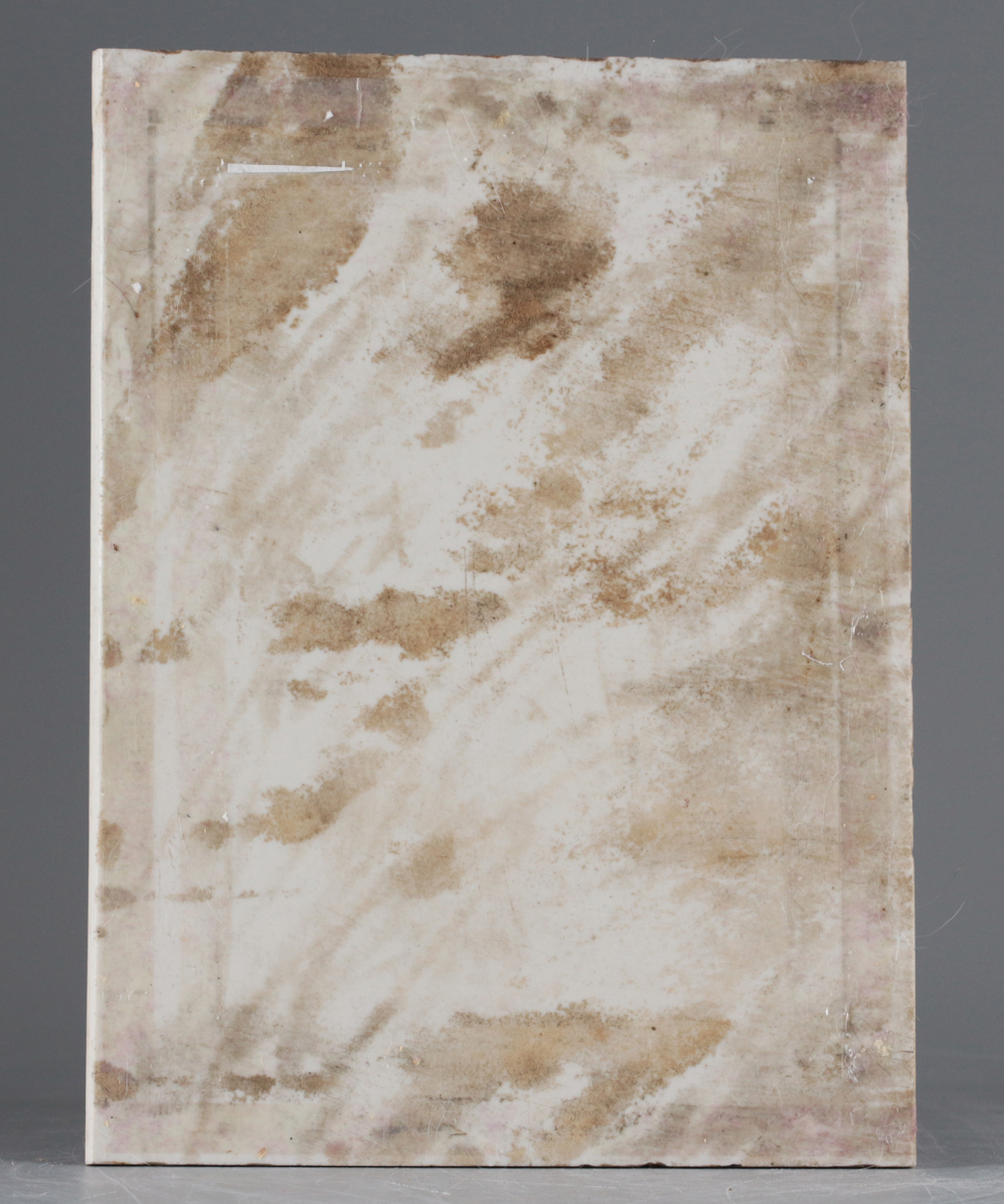 Икона Богородица Неопалимая Купина/ Максим Шмаков 00144-25