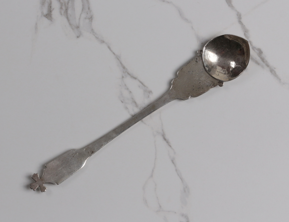 Лжица серебряная - фото - 3